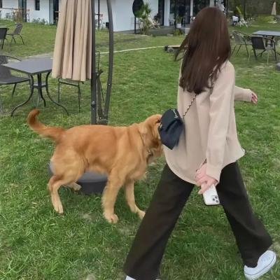 中央公园第三季