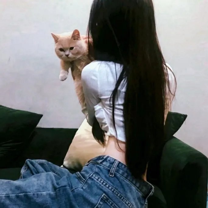再见,戈洛温
